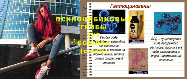 скорость Белокуриха