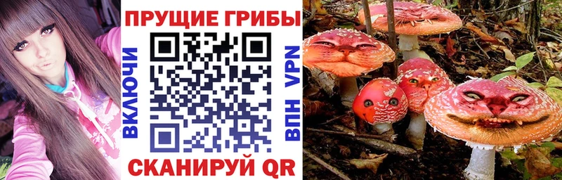 Псилоцибиновые грибы Magic Shrooms  кракен ссылки  Боготол 
